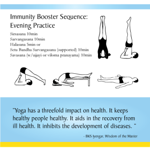 400637_10152160423986112_77152882_n[1]