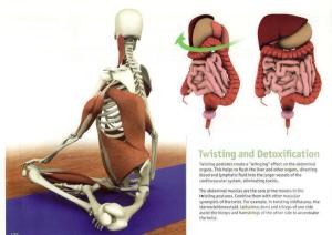 735226_598229020204987_1966558079_n[1]