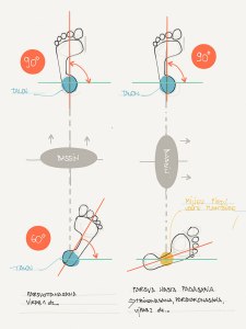 pieds-asanas-jambes-ecartees[1] (2)